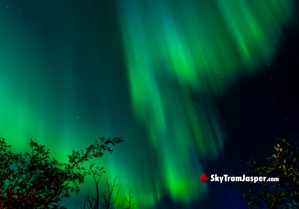 Beautiful Night Auroras