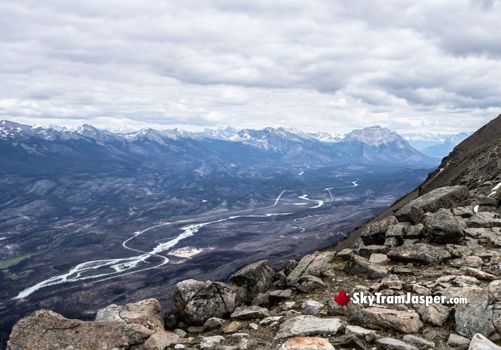 Icefields Parkway View Near the Burn Area