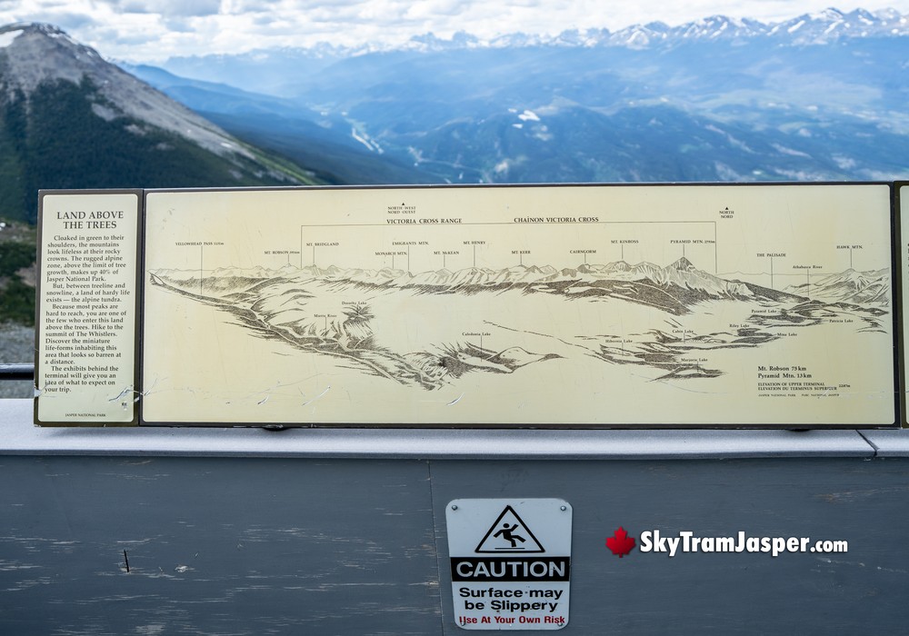 Land Above the Trees