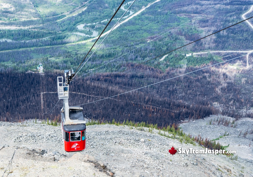 Overlooking Burn Areas