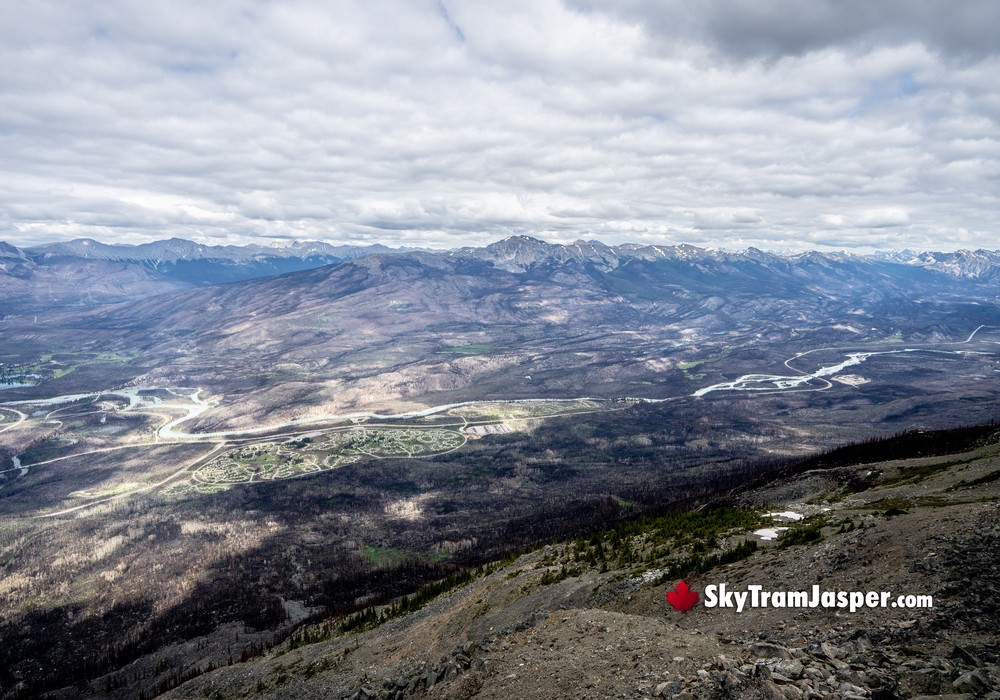 Overlooking the Icefields Parkway