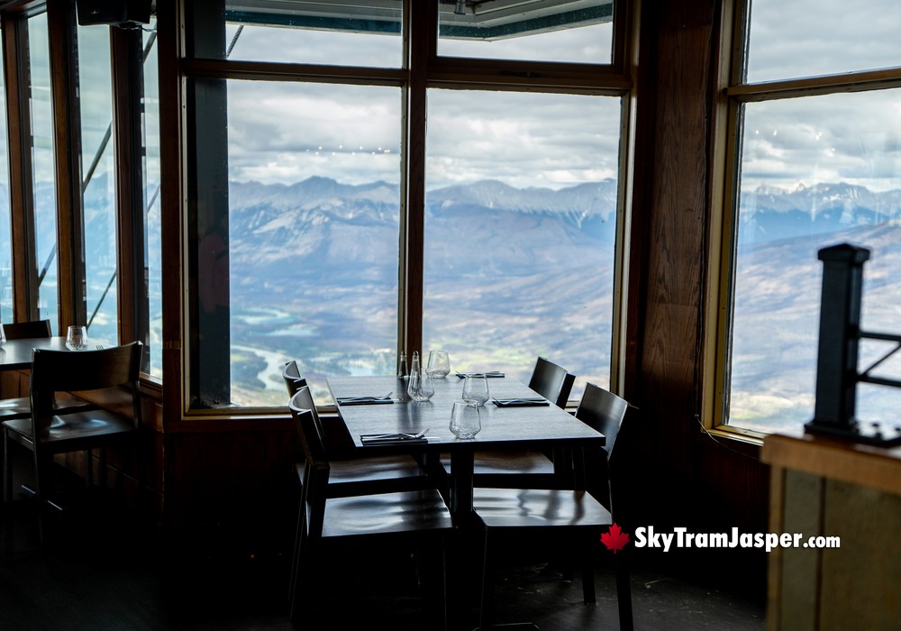 Restaurant Dining Table Views