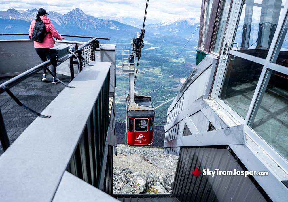Altitude SkyTram Terminal Arrival