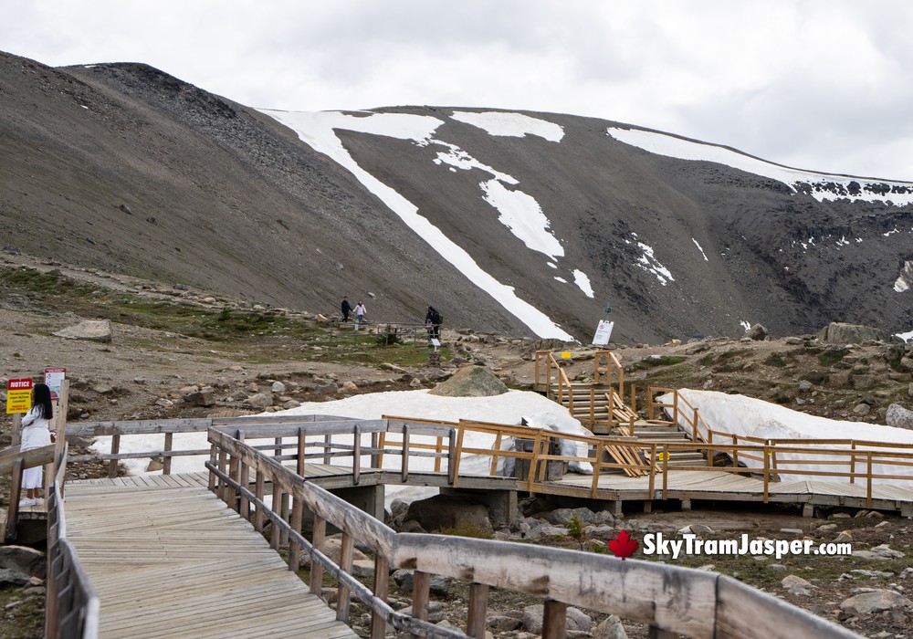 Hiking Trail to the Summit