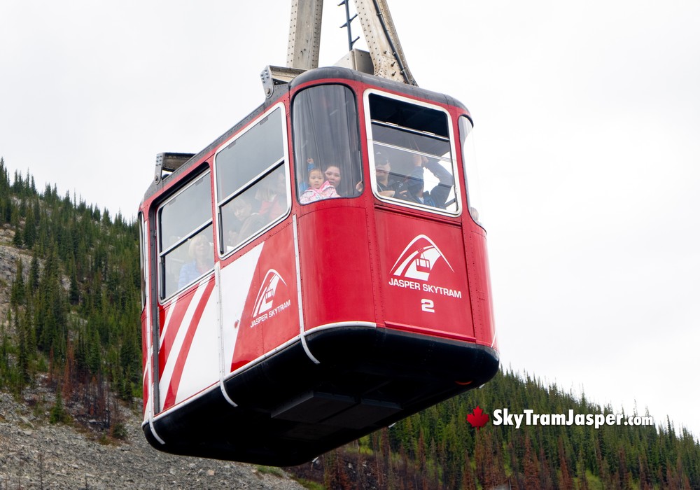 Tram Car Crossing Paths