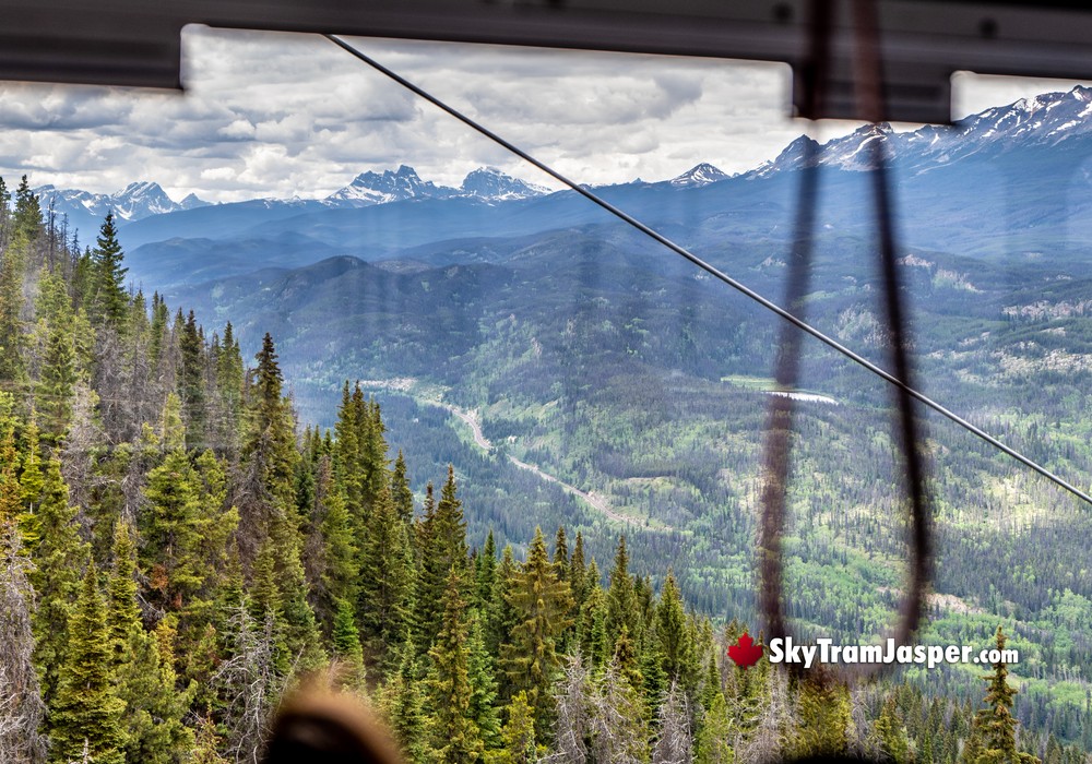 Riding Up Jasper SkyTram Views