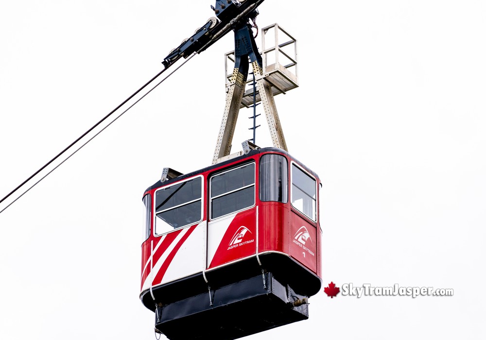 About the Jasper SkyTram Lines