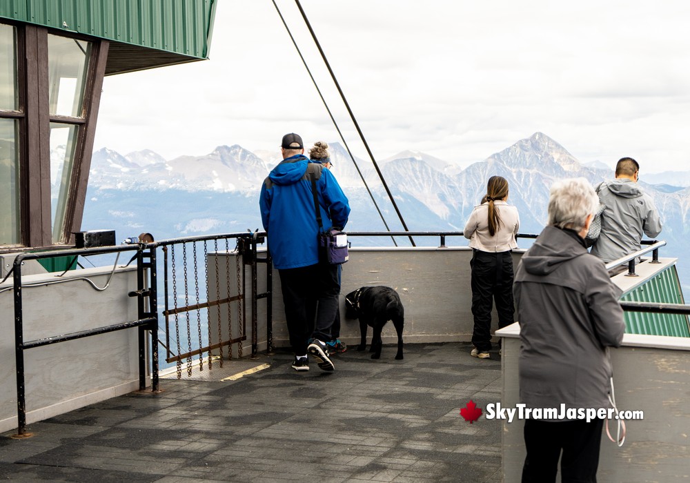 Jasper SkyTram Deck Views