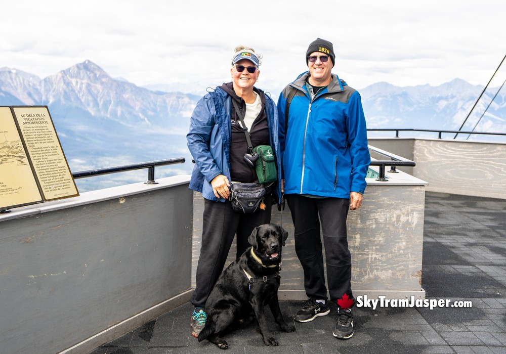 Dogs are Welcome at the Jasper SkyTram