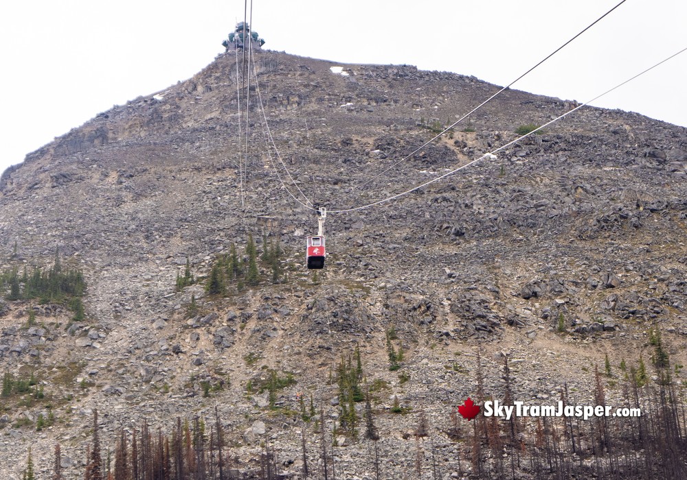 Near the Top of Whistlers via Jasper's SkyTram