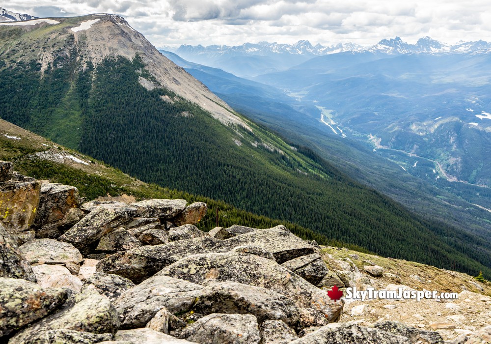 Jasper SkyTram Upper Hike